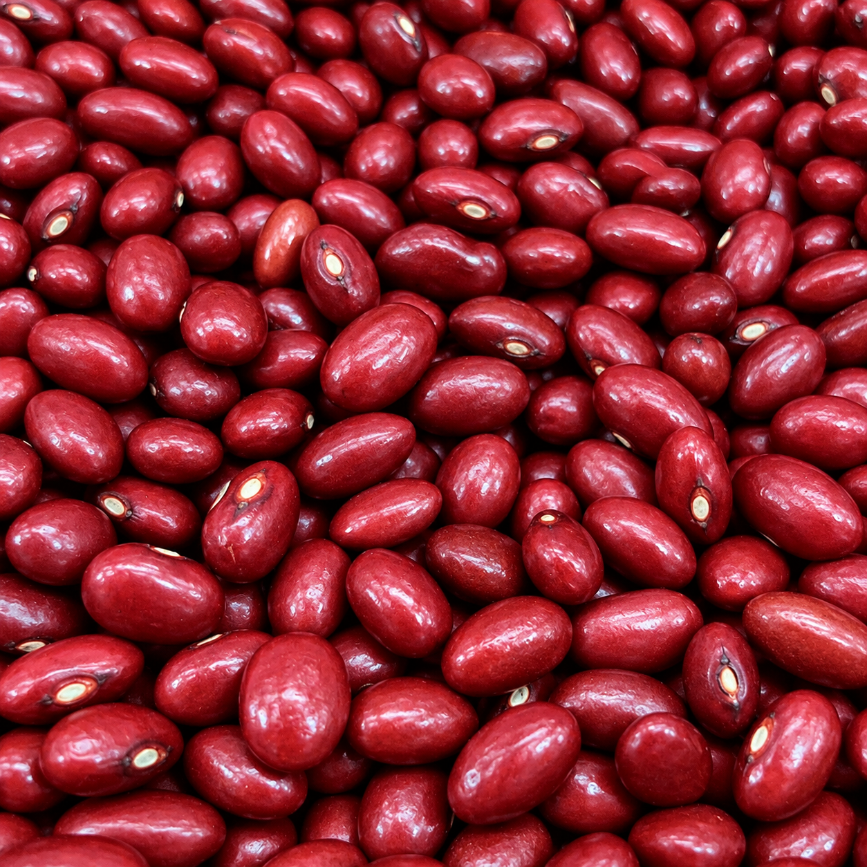 Feijão Vermelho